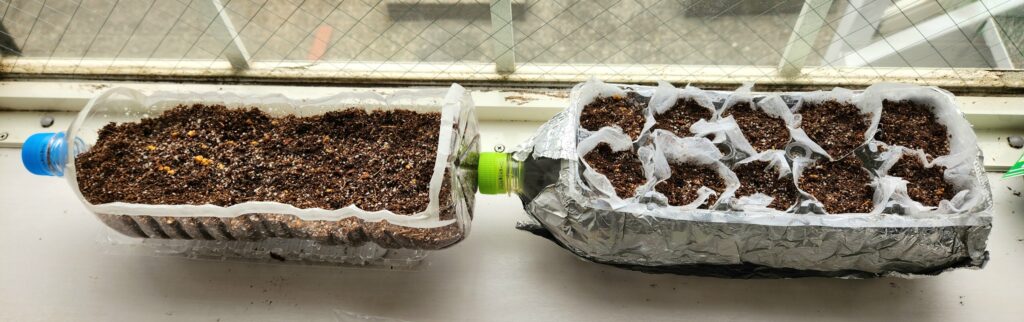 リーフレタスと大葉の種を植え終わった写真