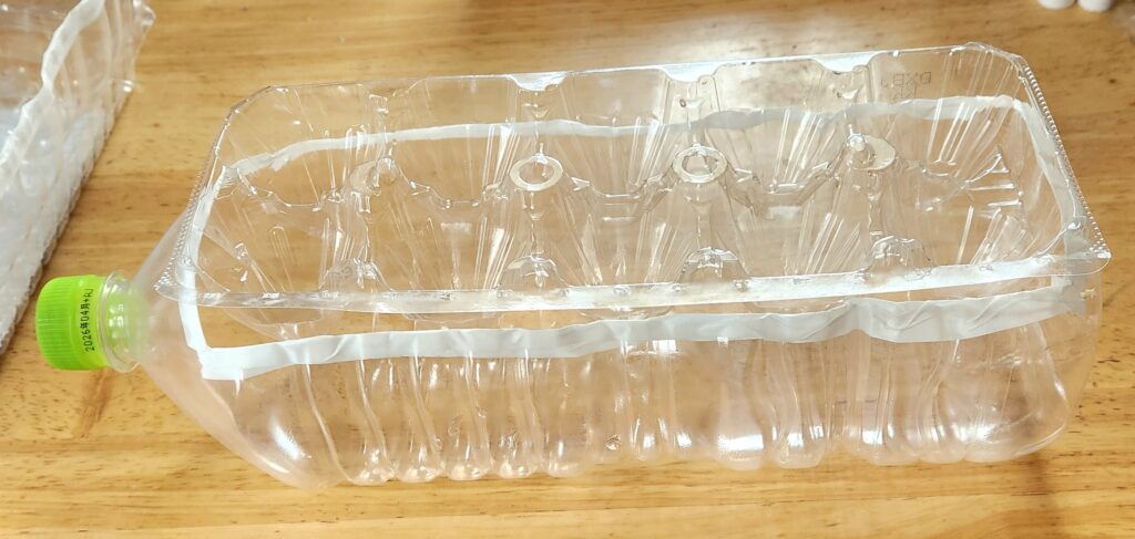 自作大葉の水耕栽培容器。ペットボトルの横を切り、卵パックに穴を開けたものを乗せたもの