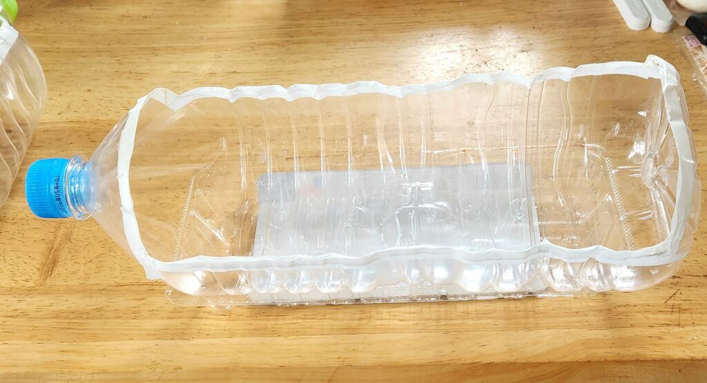 リーフレタスを育てるためにペットボトルの横を切り取り、水受けトレーとして卵パックを使用します